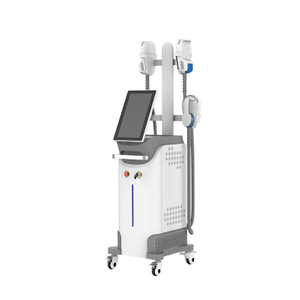 M&aacute;quina para esculpir EMS