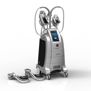 Machine minceur de cryolipolyse